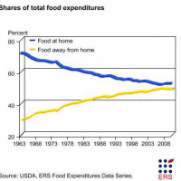 Report Shows Business Opportunities for New Food-Education Tools