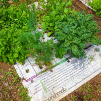 Crowdfunding Mondays: Earth Starter Makes Home Gardening Easier