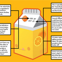 Infographic of the Week: The Truth Behind Food Date Labels