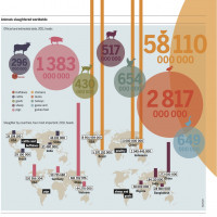 Infographic of the Week: Facts & Figures of Global Animal Production