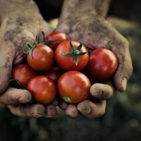 Overstock.com Launches Farmers Market, A New Approach to Food Startup Branding + More