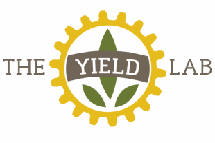 the-yield-lab