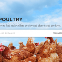 BuyingPoultry Helps Eaters Make Informed Choices