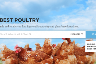 buyingpoultry