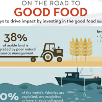 The Case For Investing In The Good Food Supply Chain