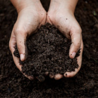 Our Dirty Secret: Soil is on the Endangered List