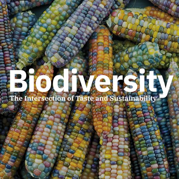 Food+Tech Connect The Future Of Food Is Biodiverse | Food+Tech Connect