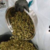 Canopy Bets $3.4B on US Cannabis Legalization, Milk Sales Drop by $1.1B in 2018 + More