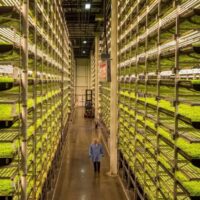 AeroFarms Files For Bankruptcy, JBS Is Building a Cultivated Meat Factory + More