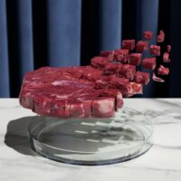 Cultivated Meat Funding Dropped 78% in 2023, Obesity Drug Arms Race + More