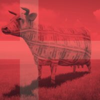 Denmark Introduces Carbon Tax, House Reps Reintroduce Bill to Ban Federal Funding of Cultivated Meat + More 